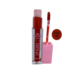 Lip gloss - Labial Matte Waterproof Paulis Makeup